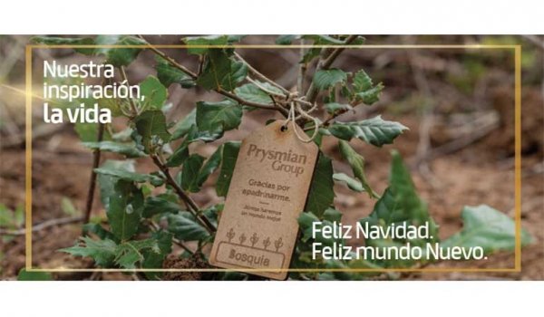 Prysmian Group apadrina la reforestación de dos bosques con la plantación de más de 1.000 árboles